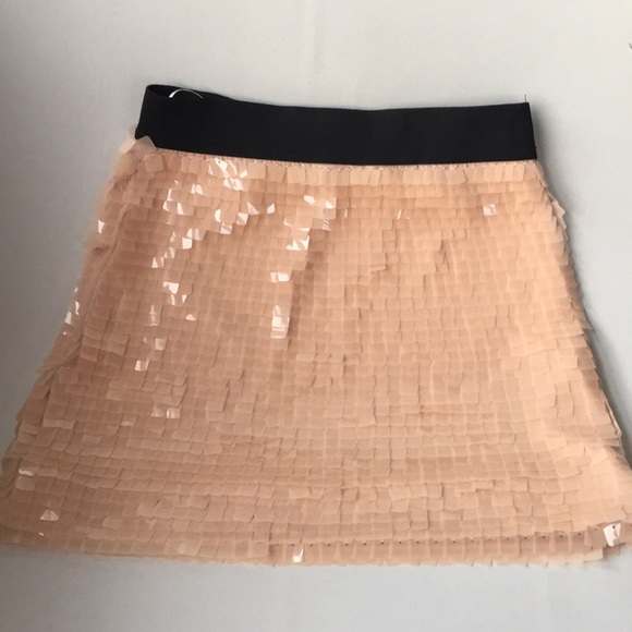 Zara Dresses & Skirts - Zara Trafaluc sequin embellished stretch skirt